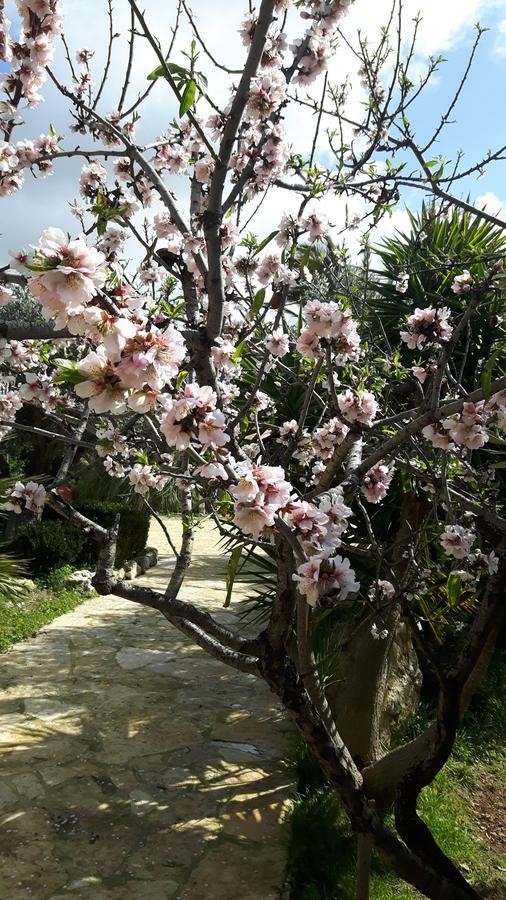 Casale Rocca Russa B&B 빌라지오 모제 외부 사진